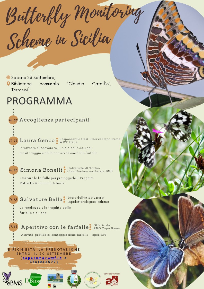 Butterfly Monitoring Schemes in Sicilia