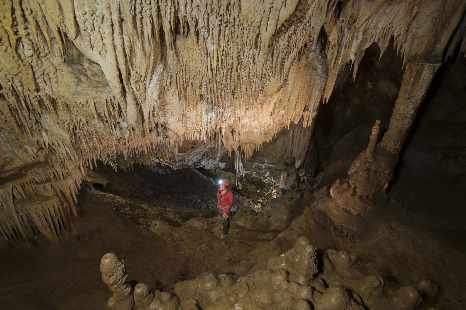 Riserva Naturale Orientata Grotta della Molara