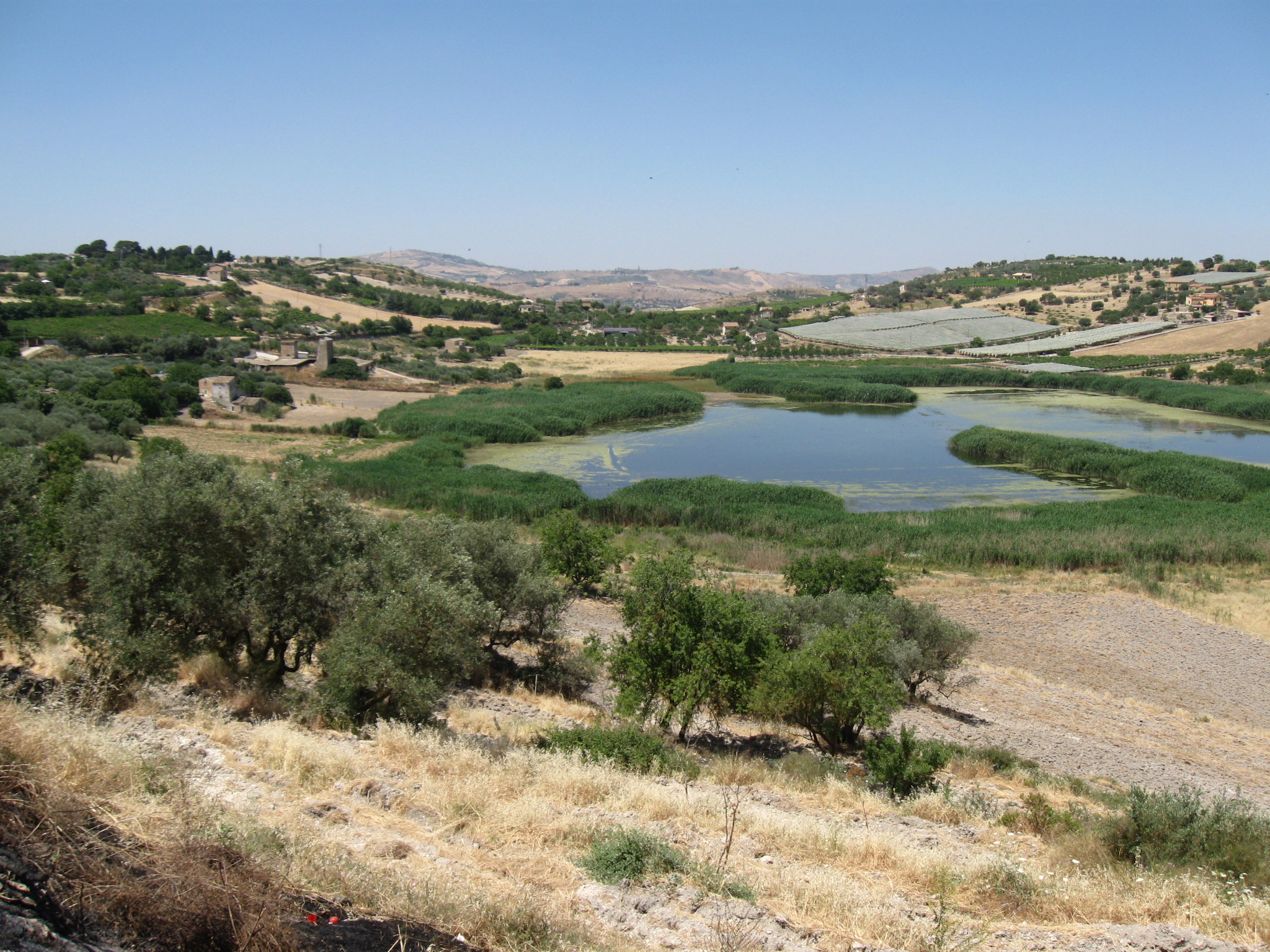 Progetto SI.V.A.N.N. (Sistema di Vigilanza delle Aree Naturali Nissene) Presso le Riserve naturali Lago Soprano e Contrada Scaleri