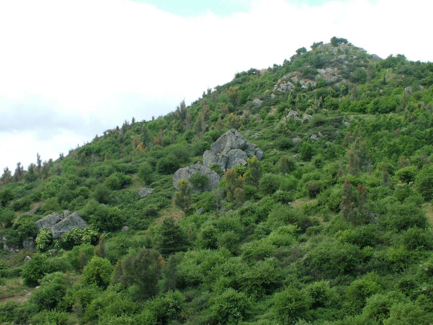 Riserva Naturale Monte Altesina