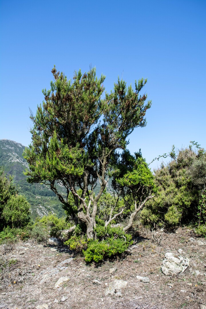 RNO Fiumedinisi e Monte Scuderi Messina Ph Gero Cordaro 132