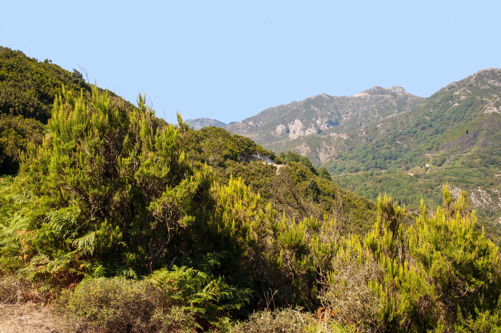RNO Fiumedinisi e Monte Scuderi Messina Ph Gero Cordaro 132 copia