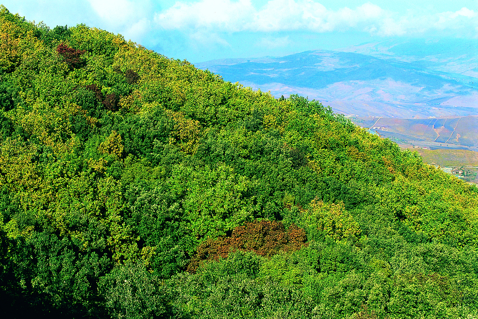 Riserva Naturale Monte Carcaci