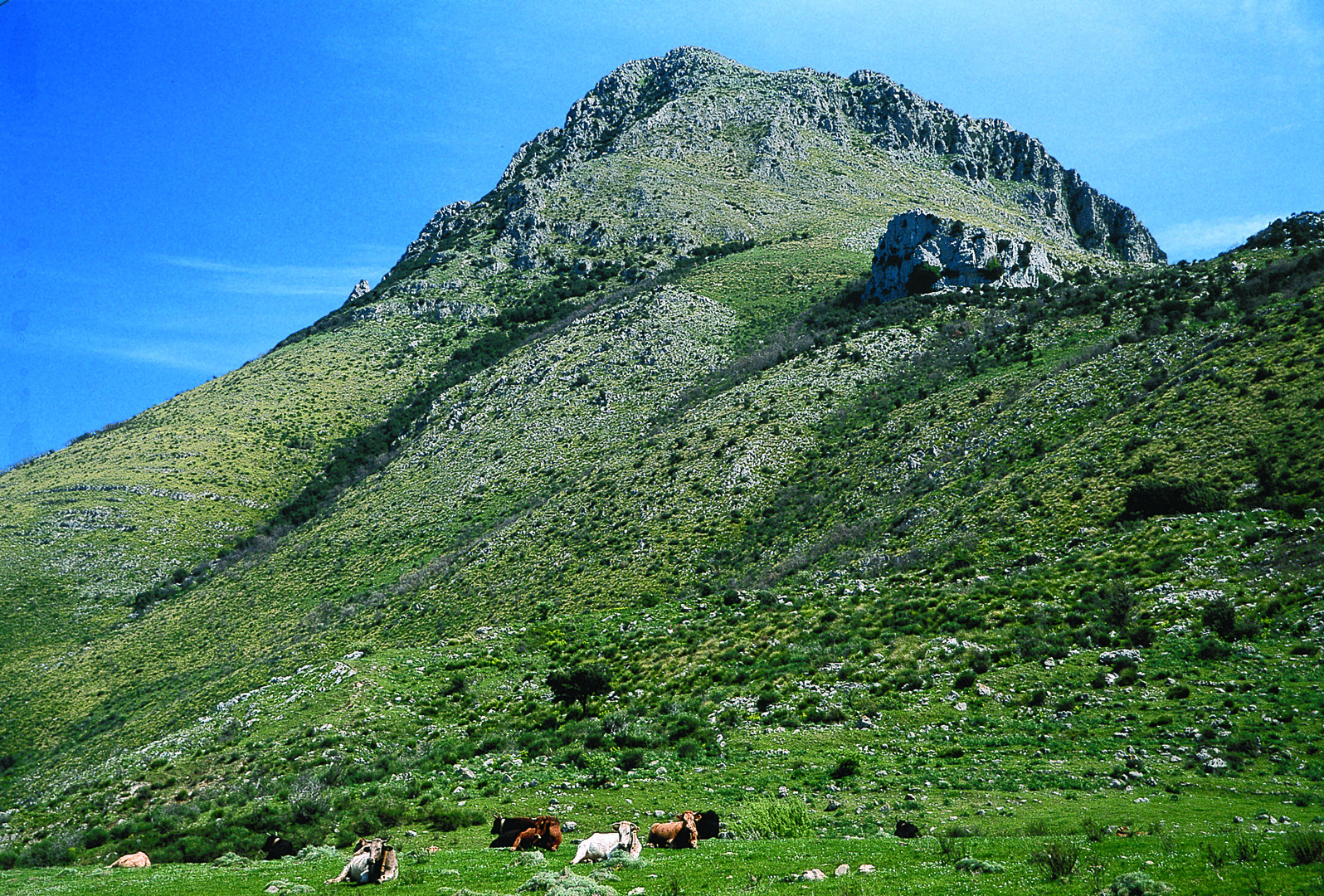 Riserva Naturale Monte San Calogero