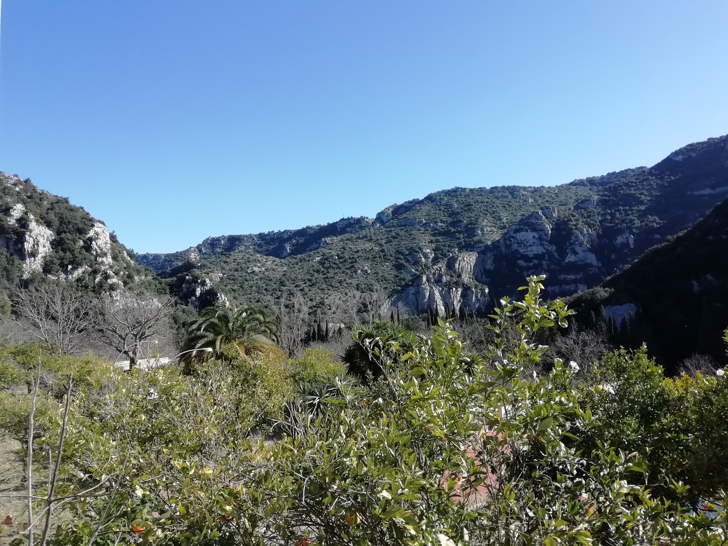 La Riserva Naturale Orientata di Pantalica, Valle dell'Anapo e Torrente Cava Grande