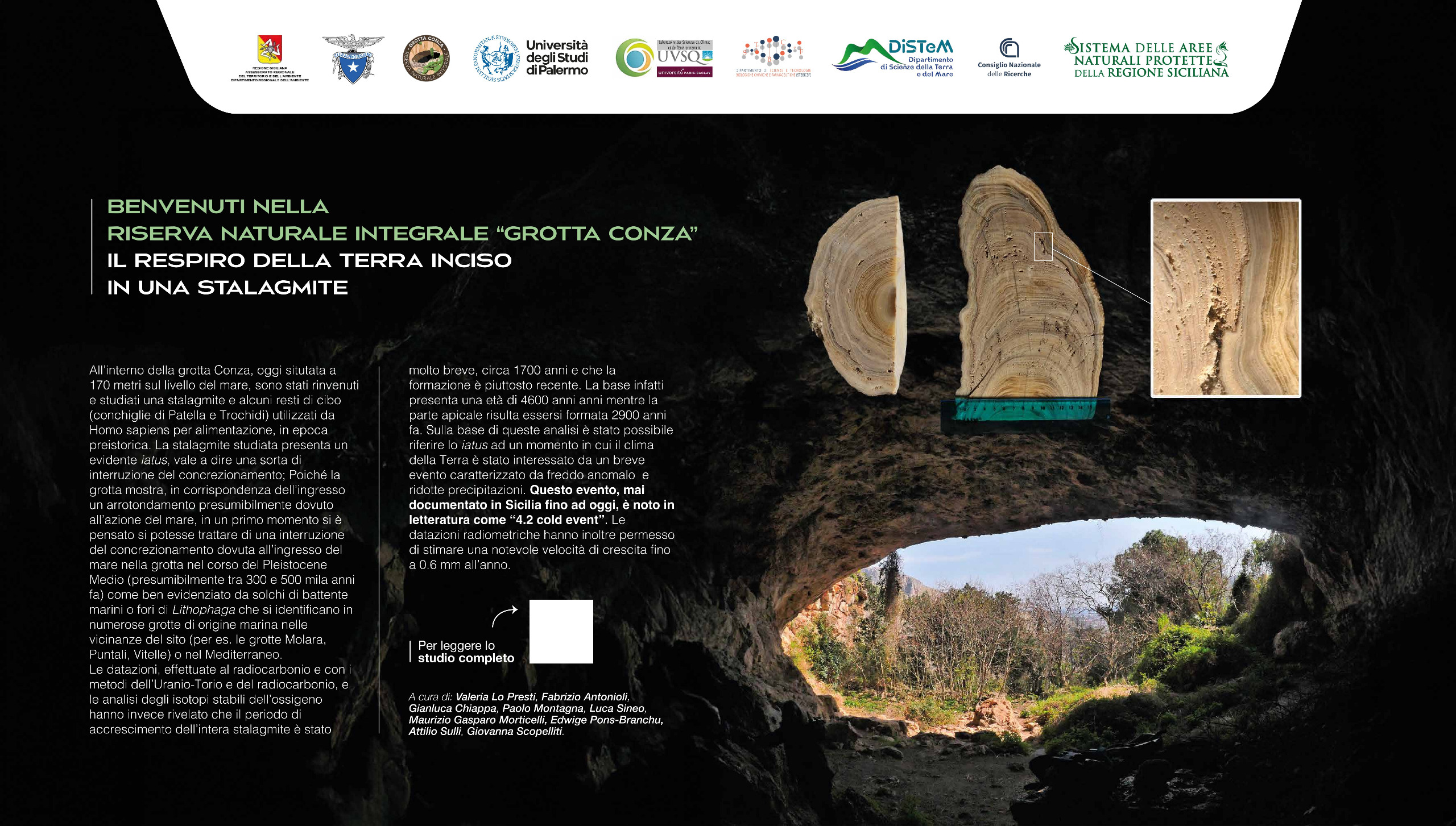 WhatsApp Image 2026 03 03 at 11.15.40 1